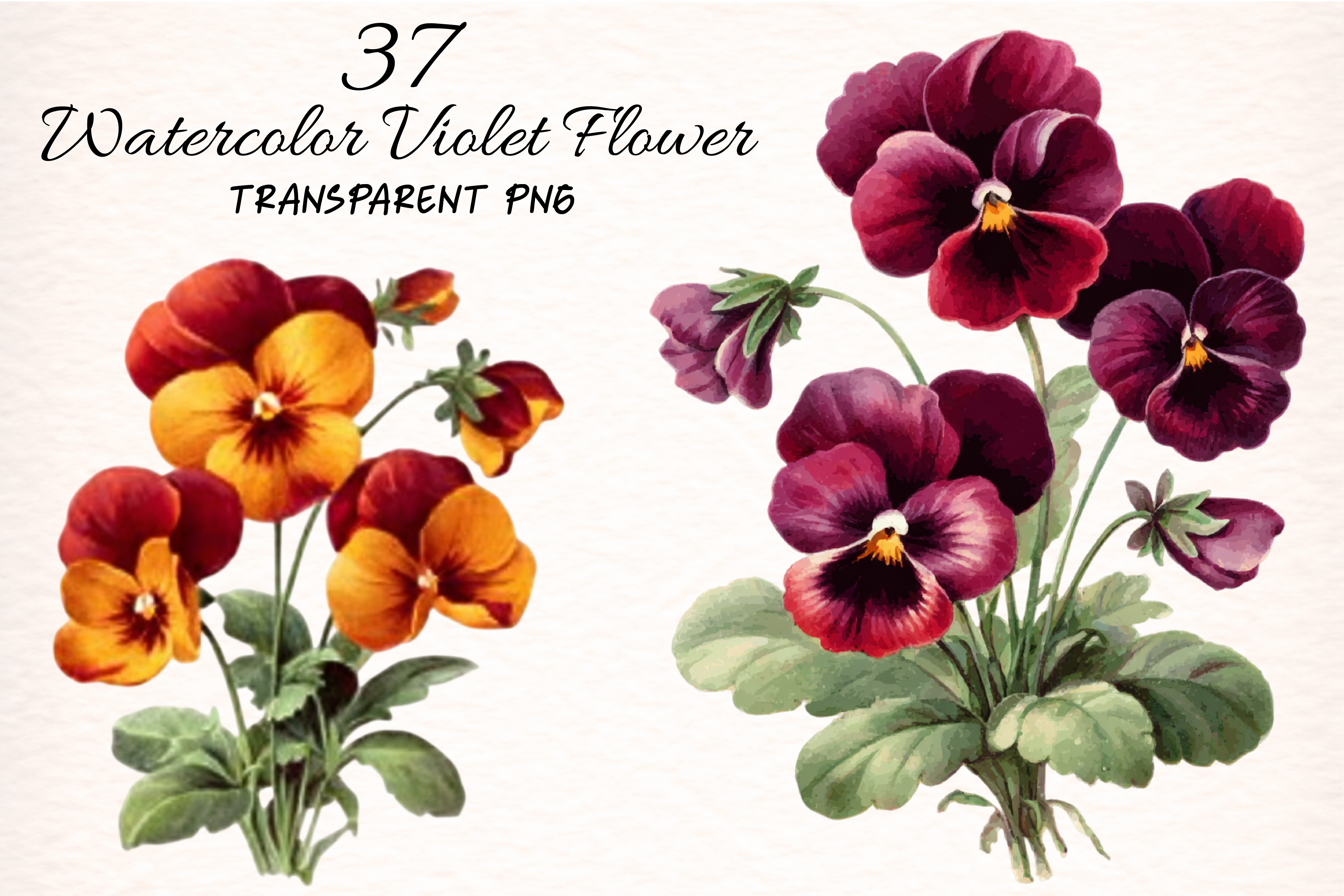 Watercolor Violet Flower Clipart Graphic by Digital Artistic99 ...
