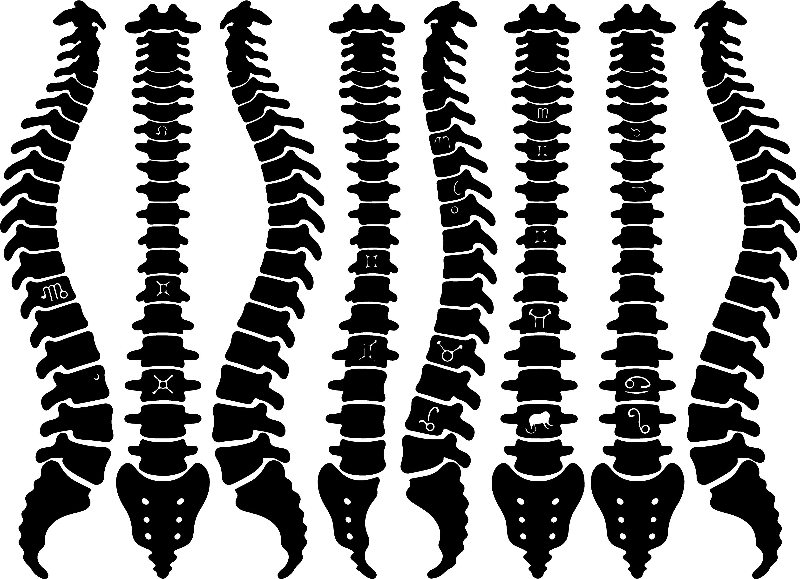Zodiac Spine Silhouette SVG Clipart