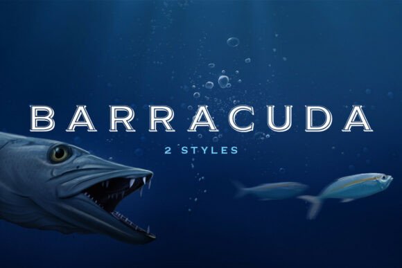Barracuda Font - Preview 1