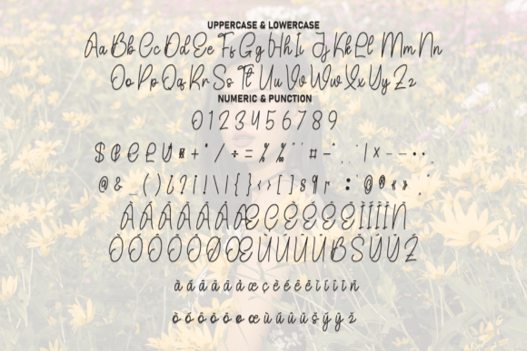 Beautiful Font - Preview 6