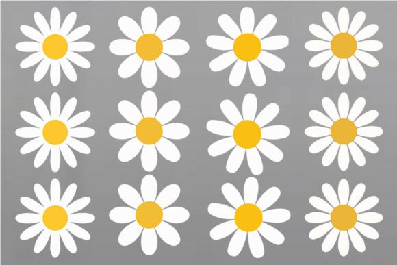 Daisy Flower SVG Bundle, Color Daisy SVG
