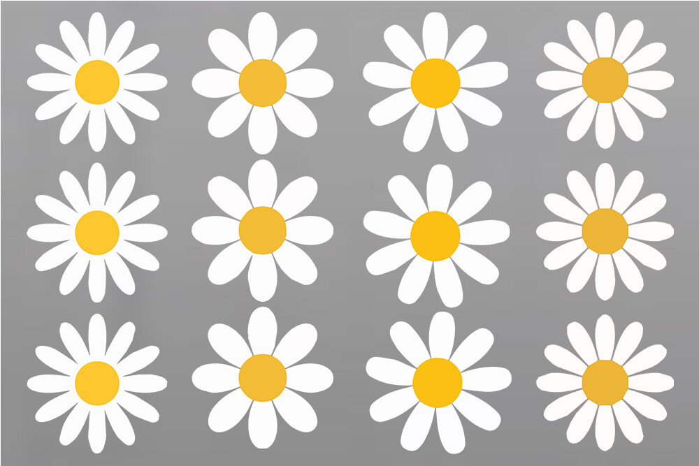 Daisy Flower SVG Bundle, Color Daisy SVG