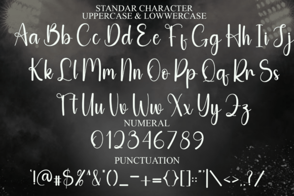 Fancy Font - Preview 6