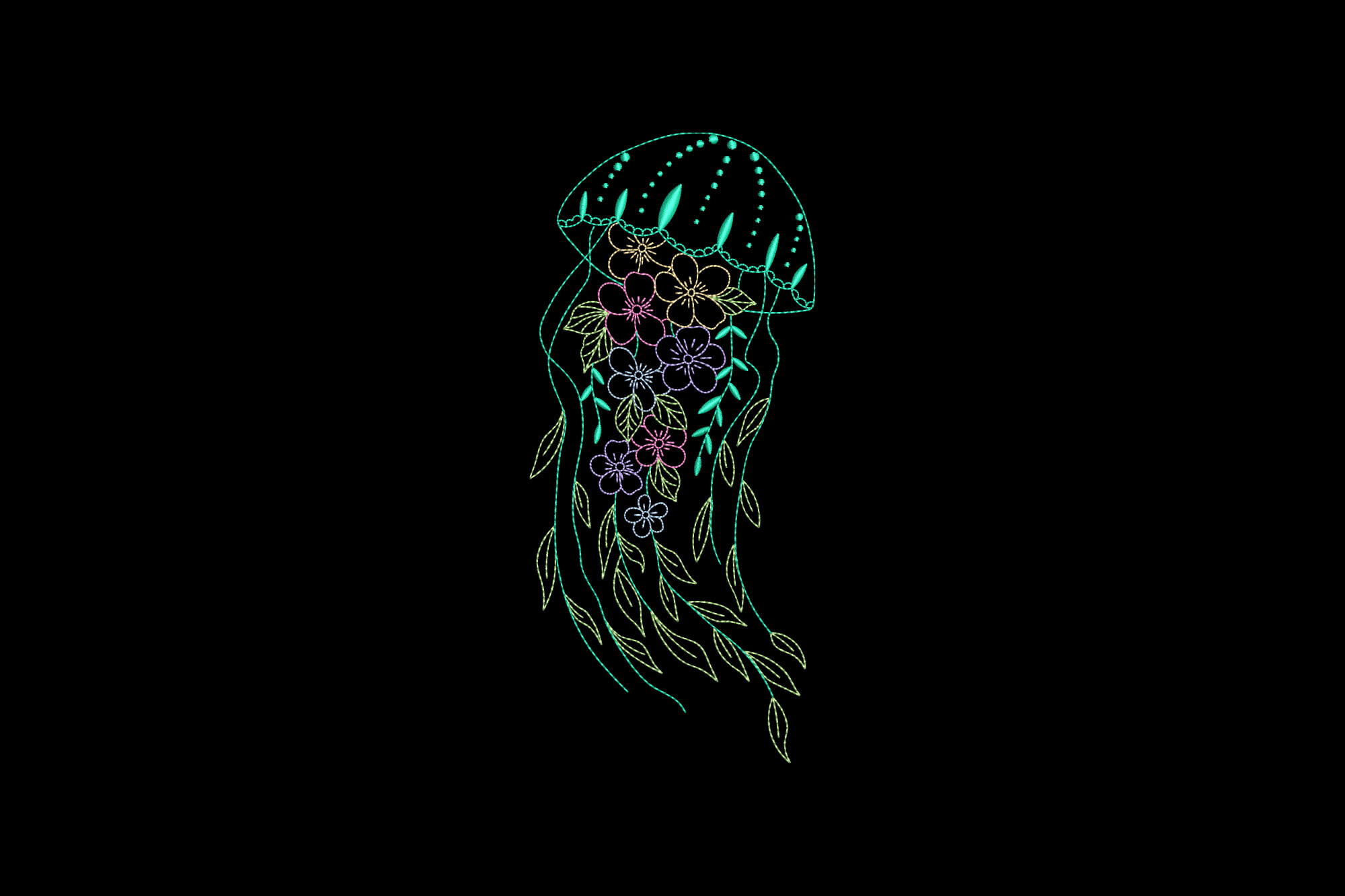 Jellyfish