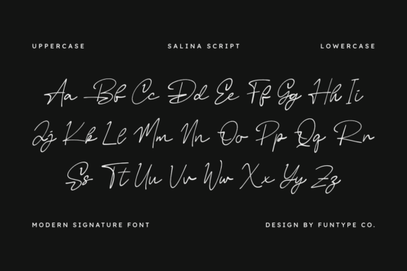 Salina Script Font PNG with transparent background - Preview 1