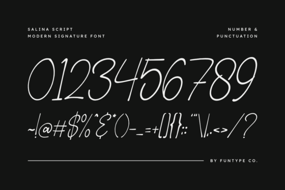 Salina Script Font PNG with transparent background - Preview 2