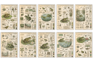Summer Frog Pond Junk Journal Pages Graphic by Markicha Art · Creative ...