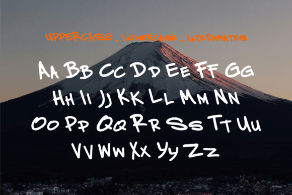 Bravura Font - Preview 1