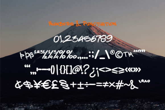Bravura Font - Preview 3