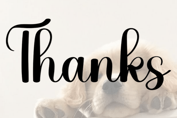 Beautiful Shopia Font - Preview 2