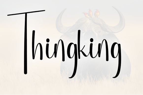 Buffalow Font - Preview 4