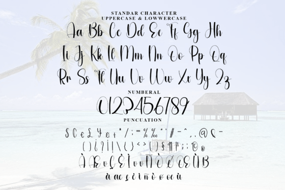 Family Calligraphy Font - Preview 5