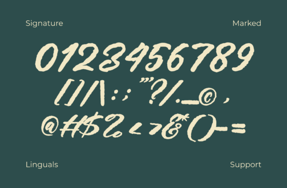 Fedley Font - Preview 4