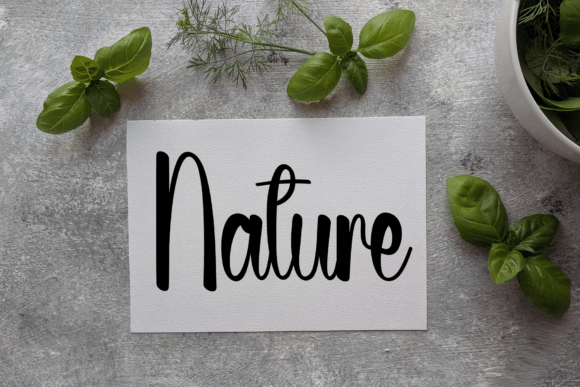 Friday Authentic Font PNG with transparent background - Preview 1