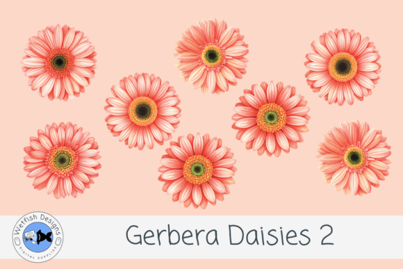 Gerbera PNG Daisies 2