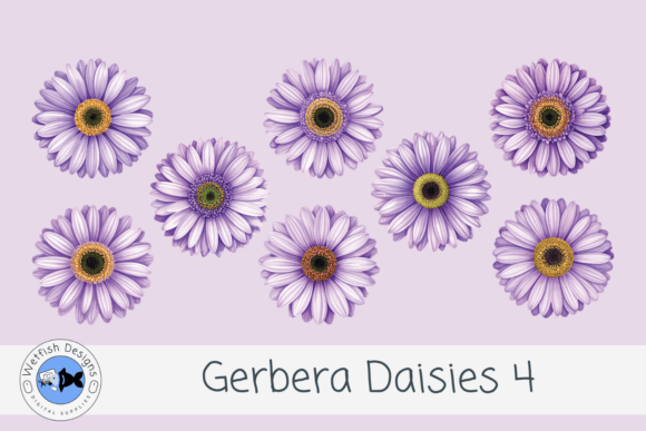 Gerbera PNG Daisies 4