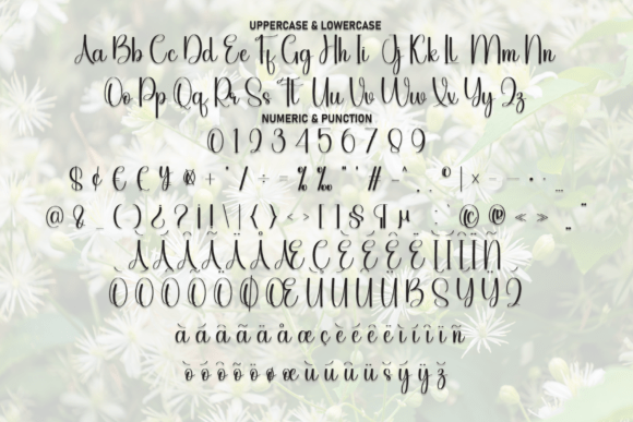 Angelia Font - Preview 6
