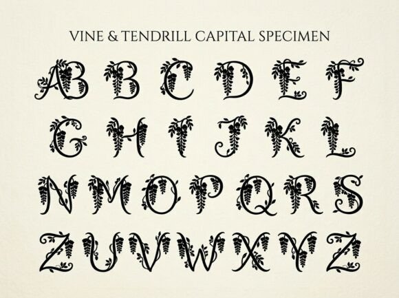 Bleph Font - Preview 2