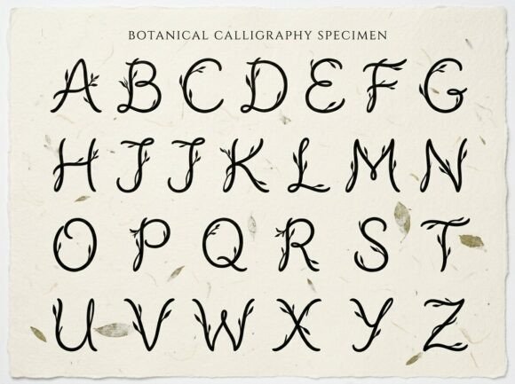 Cerna Font - Preview 2