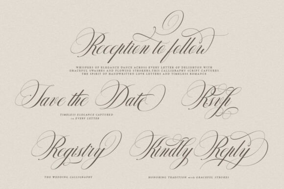 Delighton Script Font - Preview 4