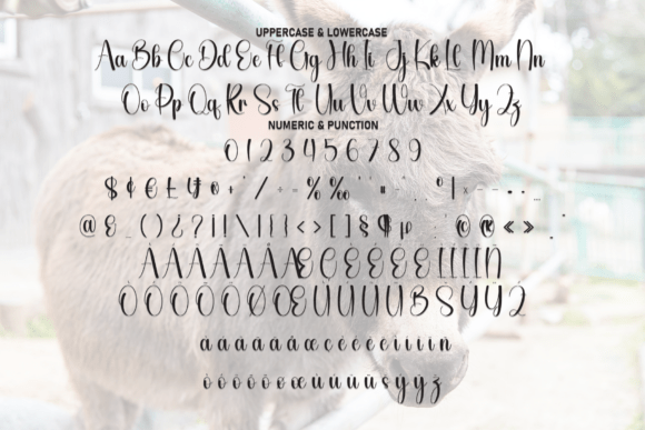 Donkey Font - Preview 6