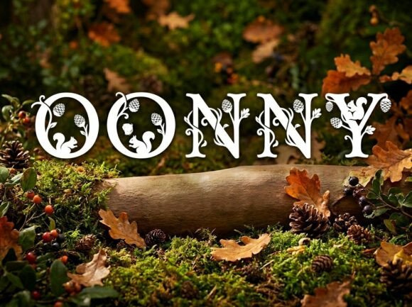 Donny Font - Preview 3