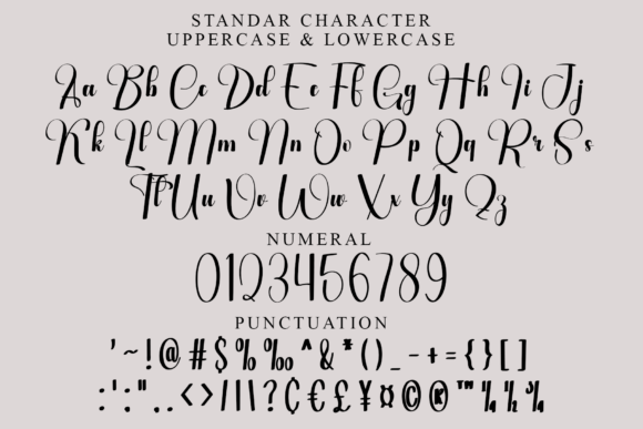 Euphoria Calligraphy Font - Preview 2