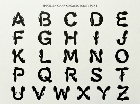 Floss Font - Preview 3