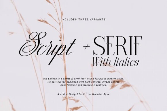 Mit Exileon Font PNG with transparent background - Preview 1
