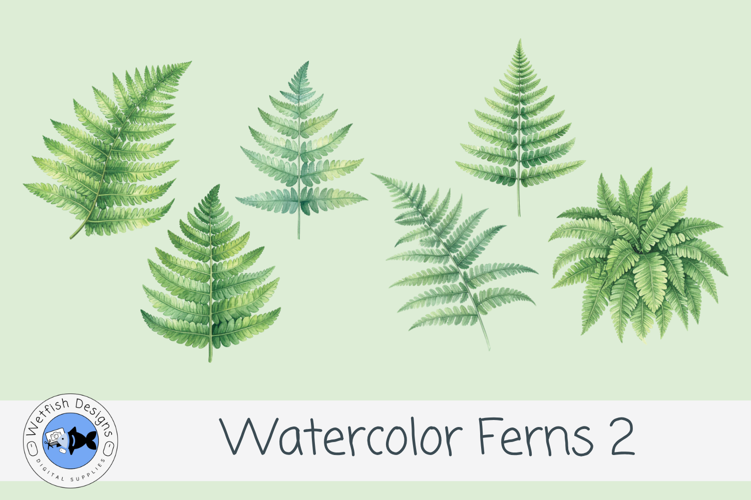 Watercolor PNG Ferns 2