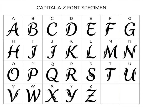 Barry Font - Preview 2