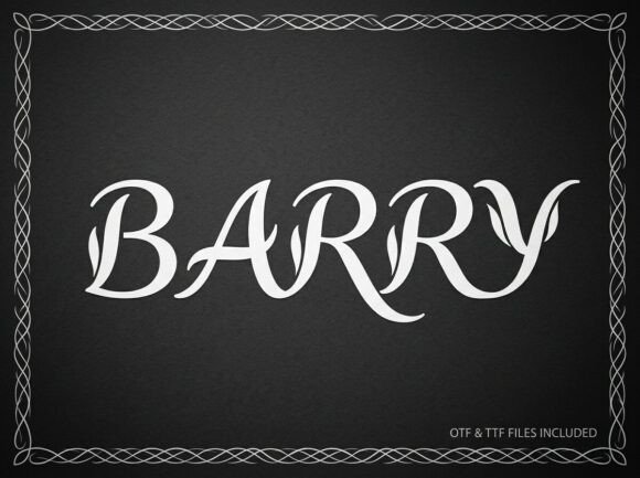 Barry Font - Preview 3