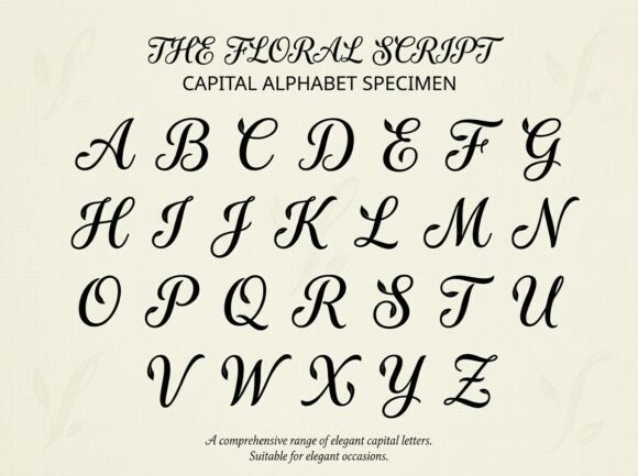Benny Font - Preview 2