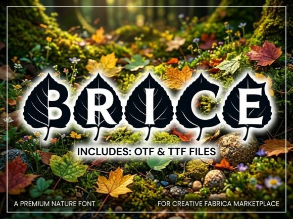 Brice Font - Preview 3