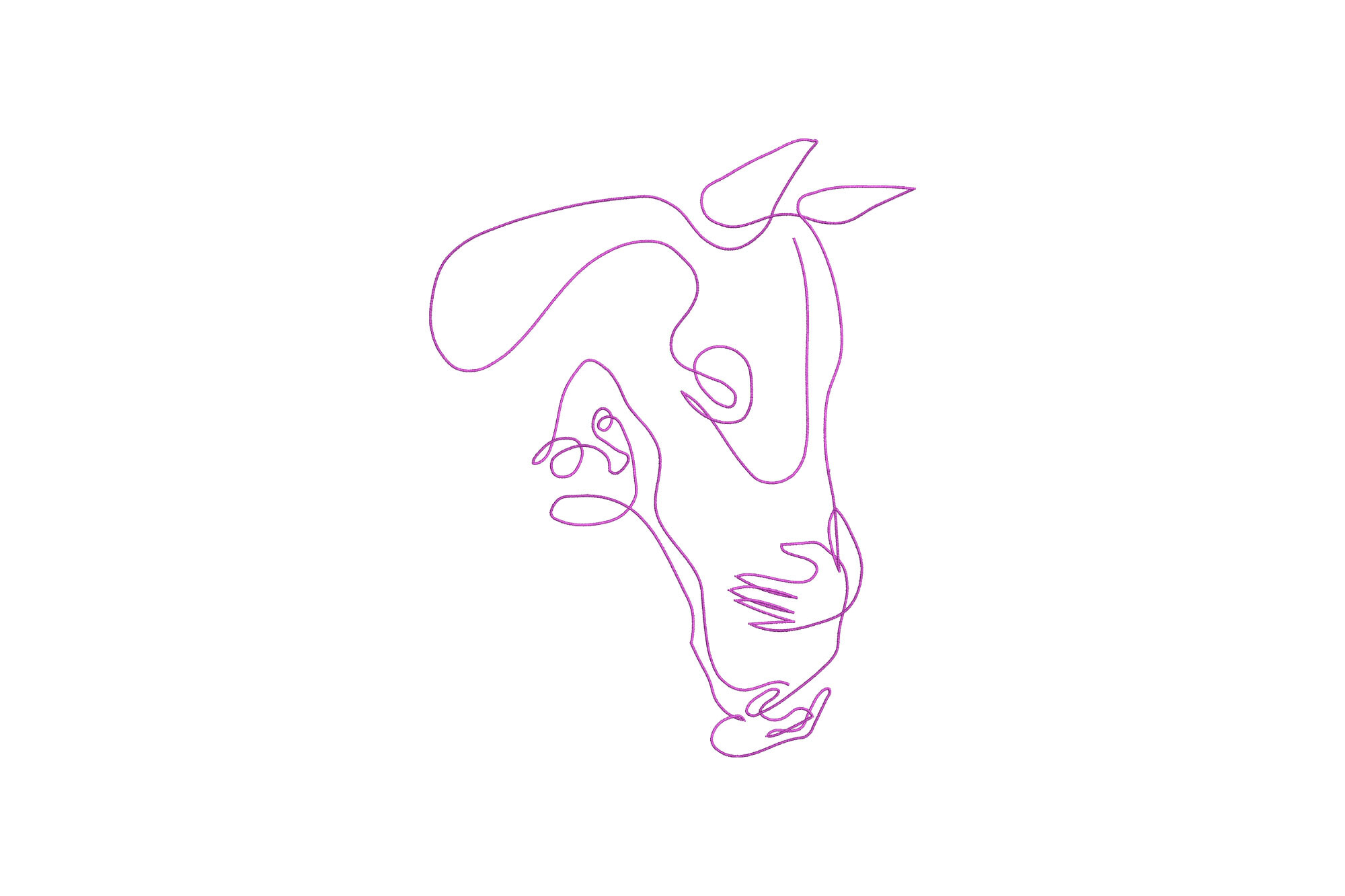 Horse Outline