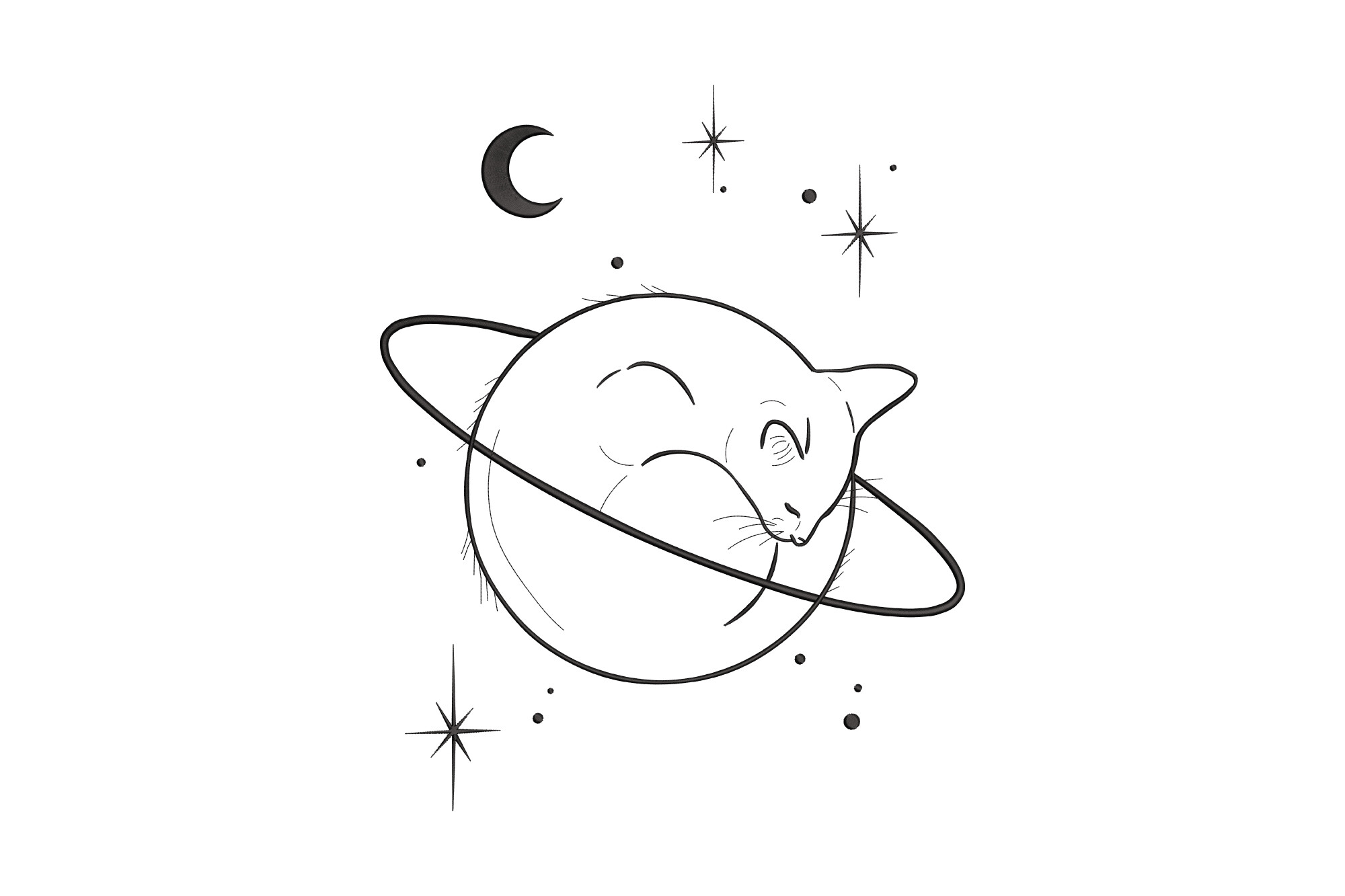 Sleeping Cat in Space
