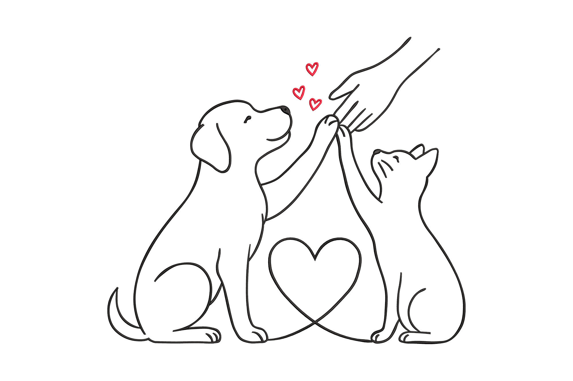 Dog Cat Human Hand