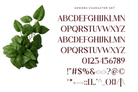 Gemora Font - Preview 5