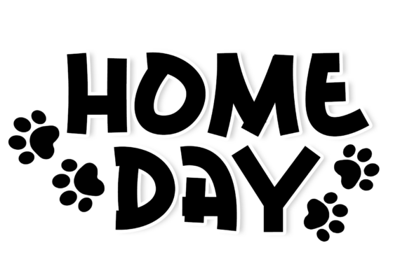 Pet Care Font PNG with transparent background - Preview 1