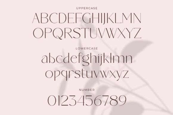 Bandana Font - Preview 5