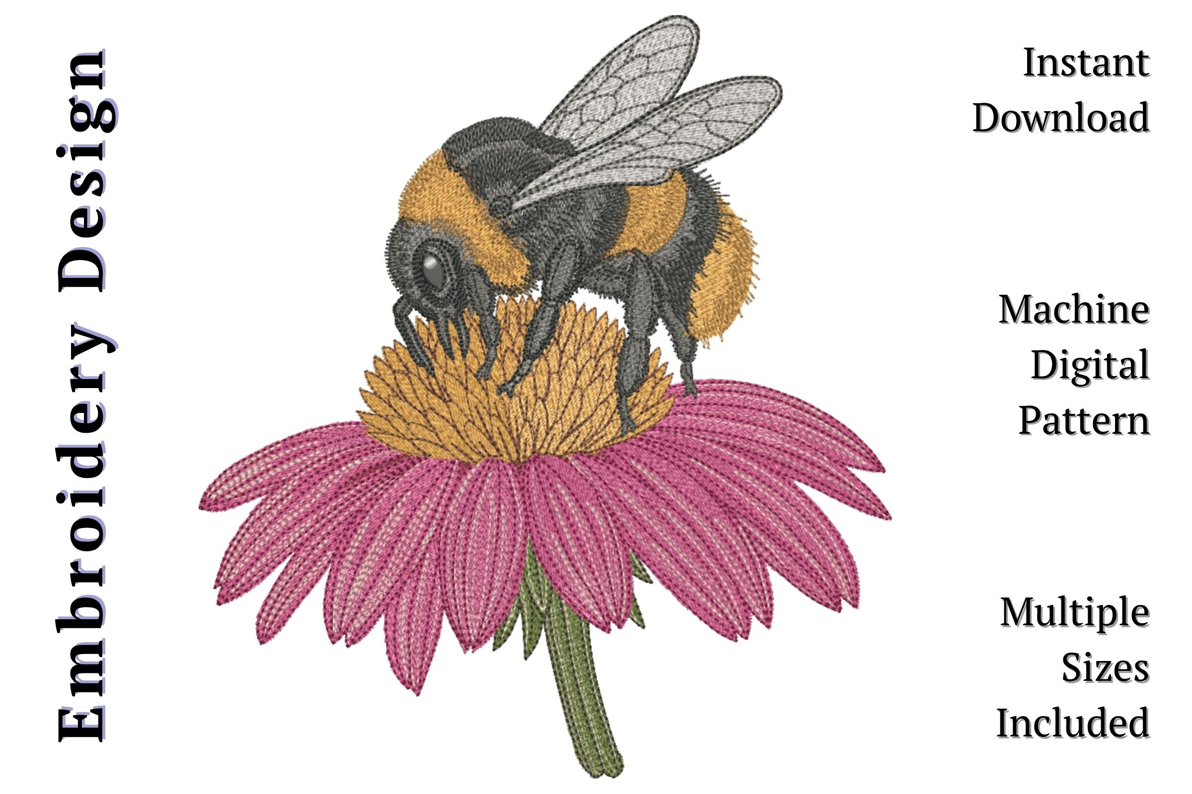 Bee on Pink Coneflower
