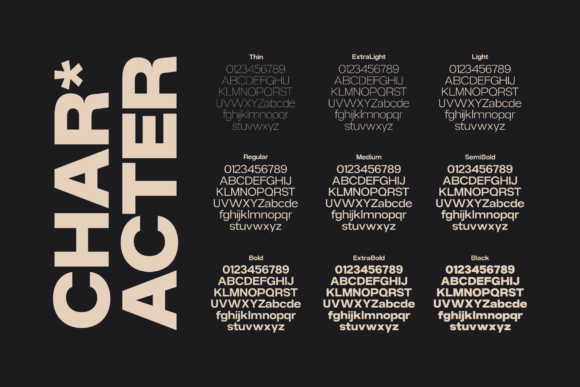 Gaglio Font - Preview 6