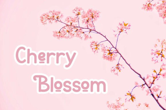 Ladyrose Font PNG with transparent background - Preview 6