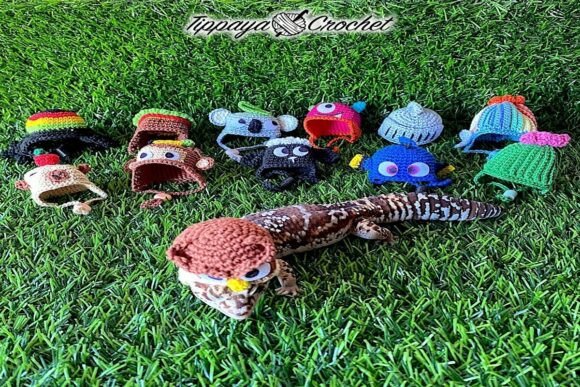 Mini Hat for Pet Crochet Pattern