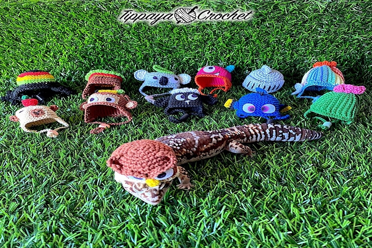 Mini Hat for Pet Crochet Pattern