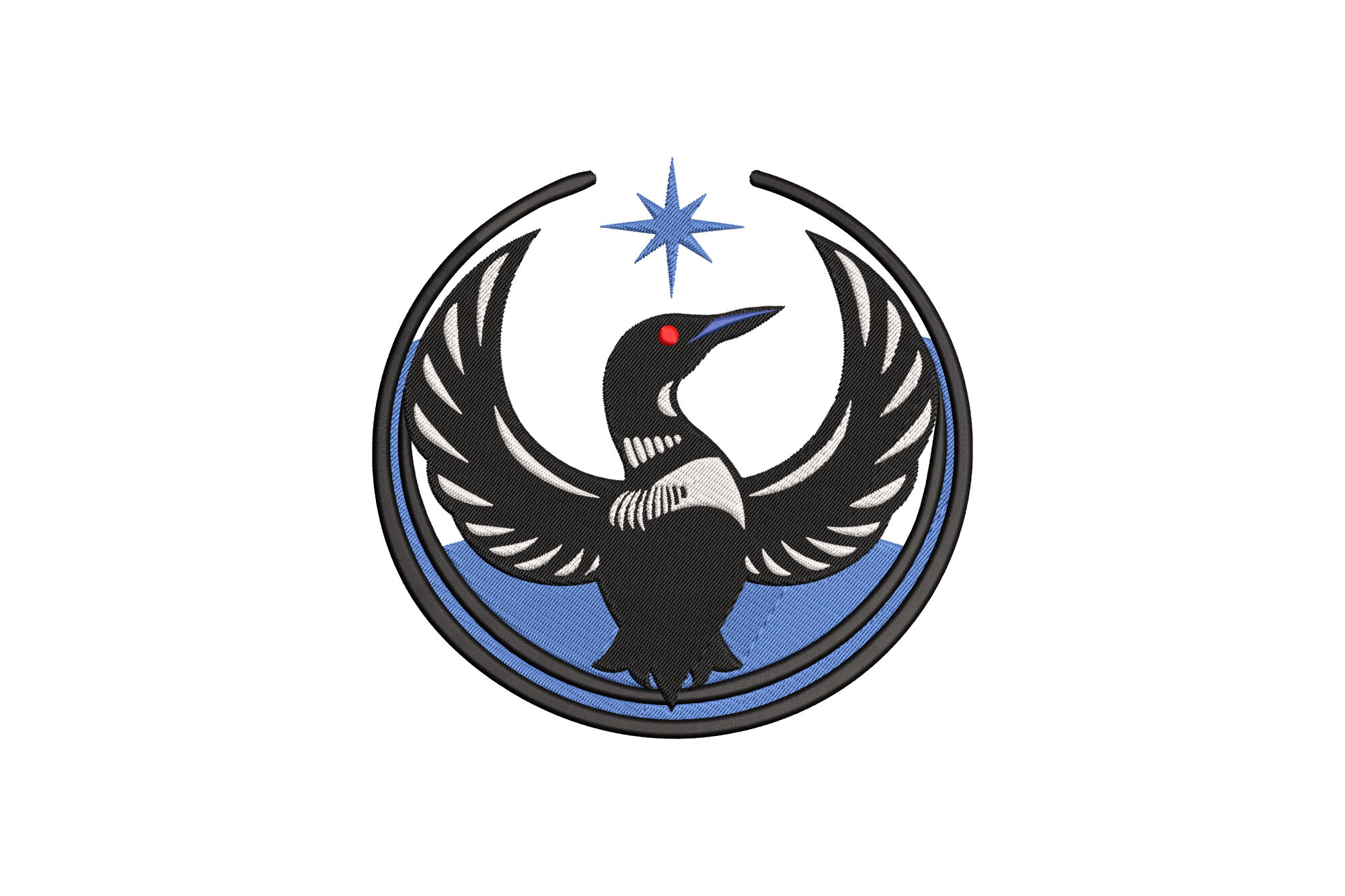 Minnesota Loon Bird