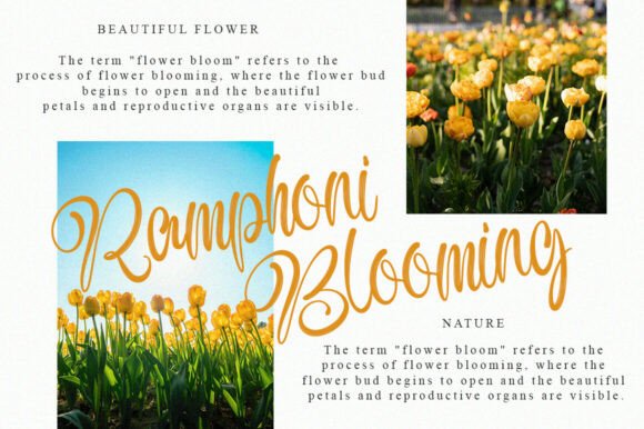 Antonia Morben Duo Font - Preview 1