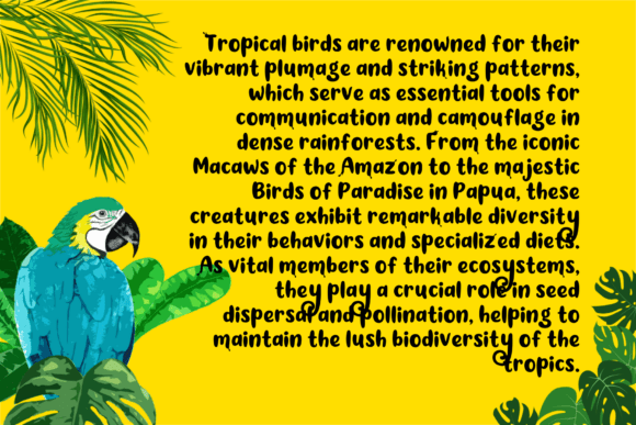 Artsy Tropica Font - Preview 1