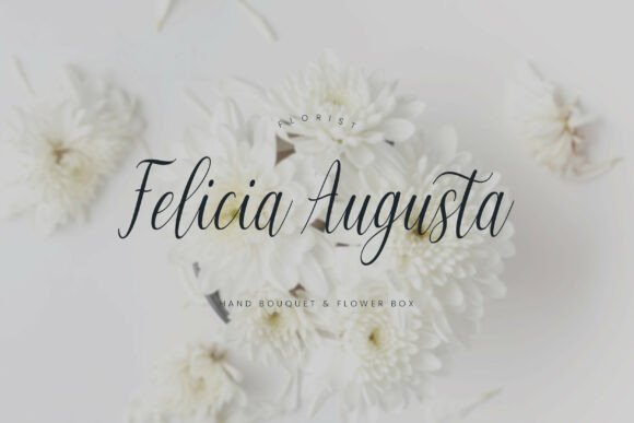 Balerina Font - Preview 2