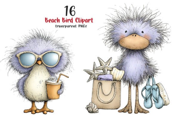 Whimsical Beach Birds Clipart Graphic Illustrations By SinaCreation